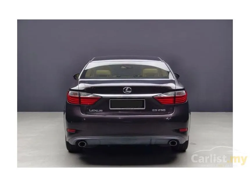 2013 Lexus ES 250 Luxury Sedan