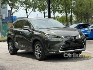 2021 Lexus NX 300 2.0 Premium SUV
