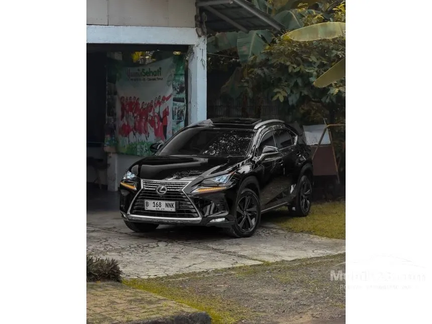 2018 Lexus NX 300 Luxury SUV