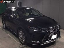 2019 Lexus RX300 2.0 Luxury SUV
