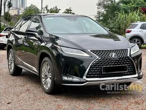2020 Lexus RX 300 2.0 Luxury SUV