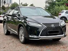 2020 Lexus RX 300 2.0 Luxury SUV