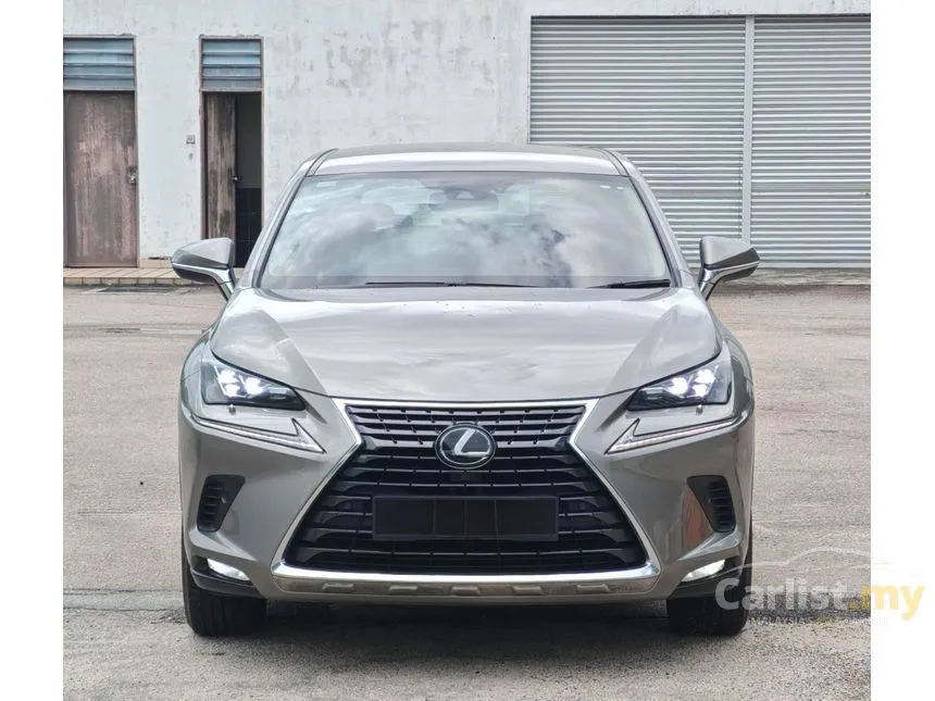 2020 Lexus NX 300 SUV