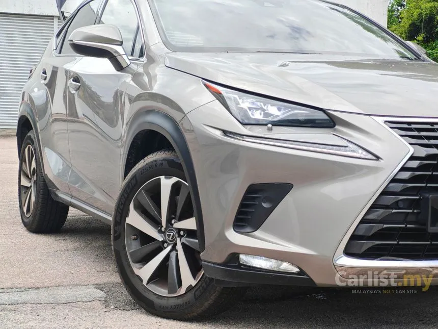 2020 Lexus NX 300 SUV