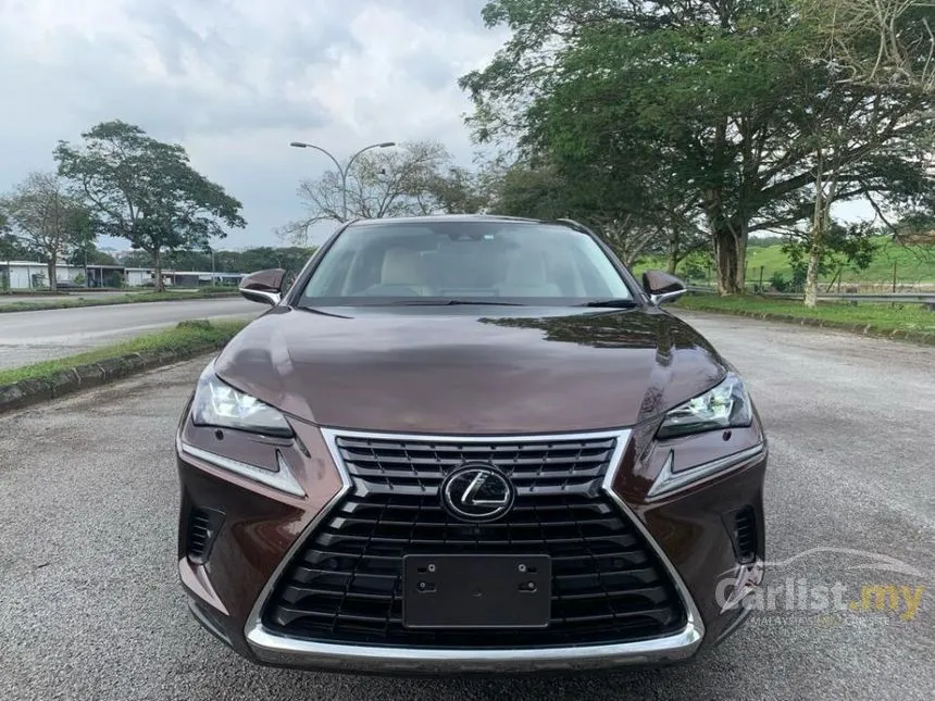 2020 Lexus NX300 Premium SUV