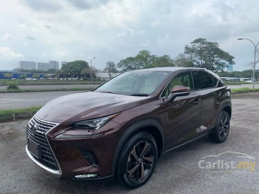 2020 Lexus NX300 Premium SUV
