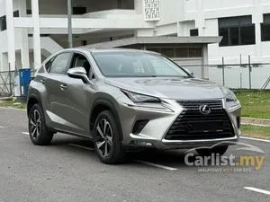 2018 Lexus NX 300 2.0 Premium SUV