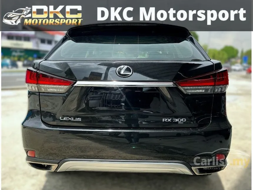2020 Lexus RX 300 Luxury SUV