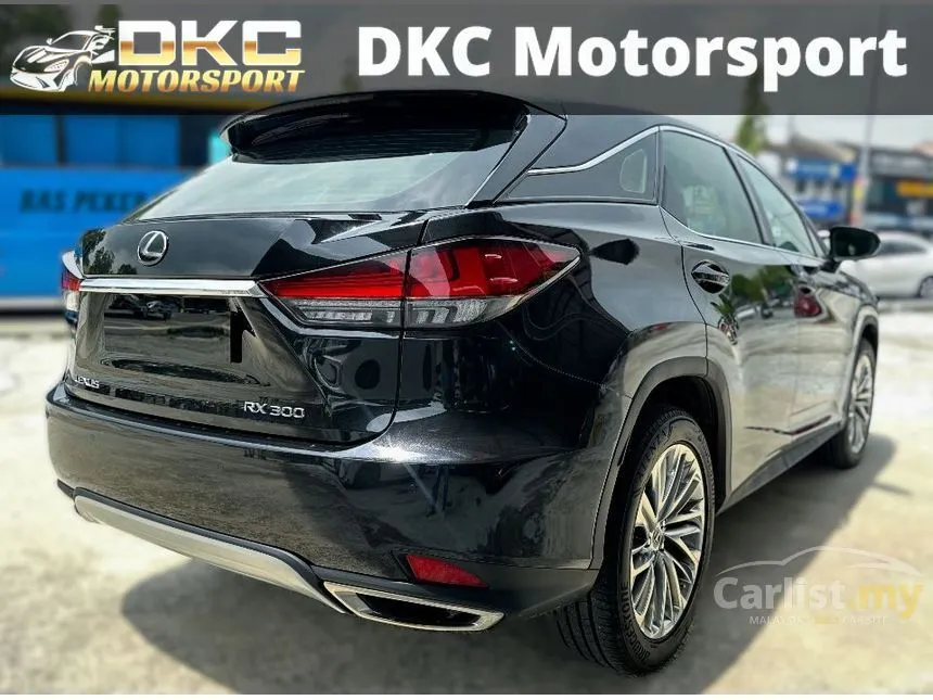 2020 Lexus RX 300 Luxury SUV