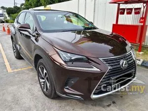 2018 Lexus NX 300 2.0 Urban SUV