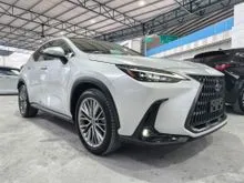 2023 Lexus NX 250 2.5 Luxury SUV PANAROMIC ROOF LOW MILEAGE UNREG