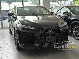 2022 Lexus NX 250 2.5 Luxury SUV