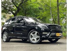 2015 Mercedes-Benz ML400 3.0 W166 SUV