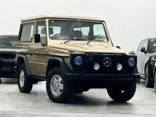 1988 Mercedes-Benz 230GE 2.3 W461 Unregister G Wagon