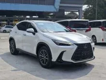 2023 Lexus NX 250 2.5 BASE GRADE