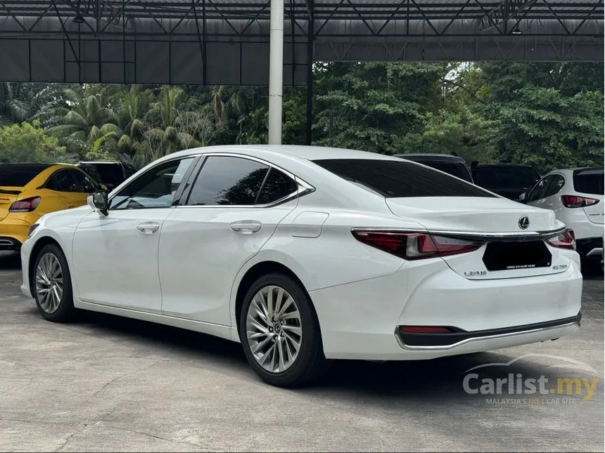 2021 Lexus ES 250 Premium Sedan