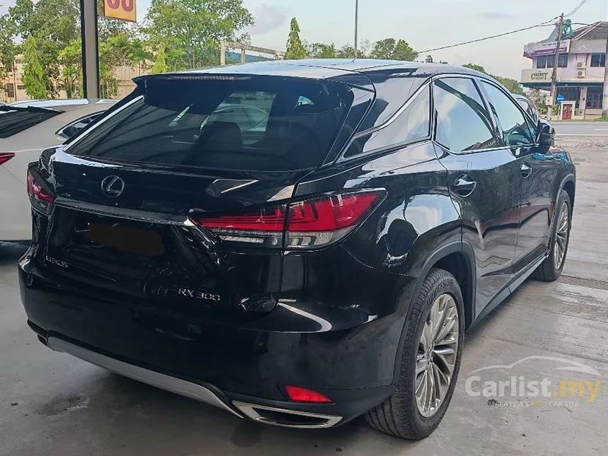 2020 Lexus RX 300 Luxury SUV
