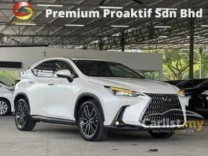2023 Lexus NX 250 2.5 SUV