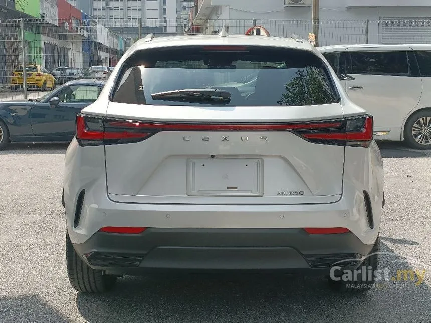 2023 Lexus NX250 SUV
