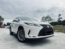 2020 Lexus RX 300 2.0 Luxury SUV RX300