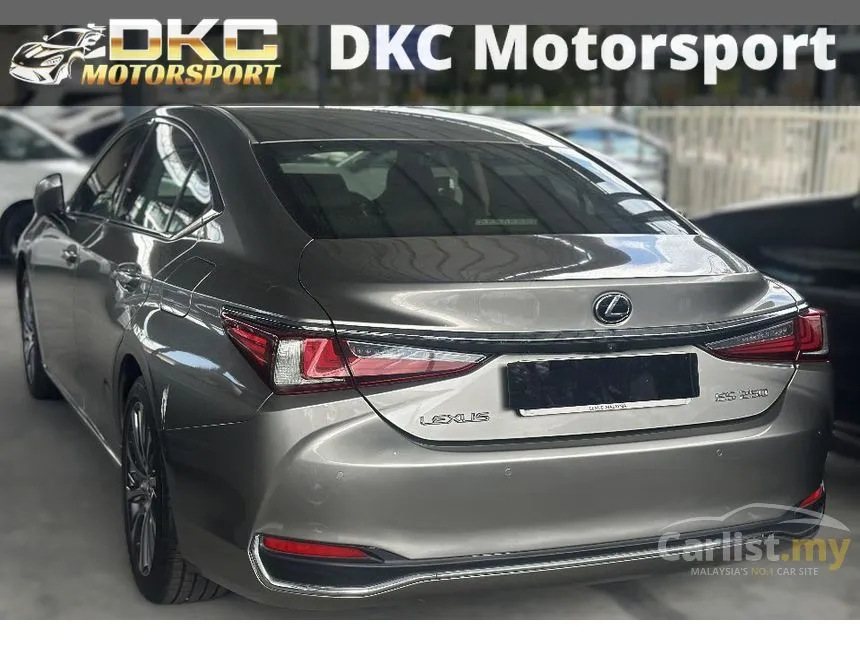 2019 Lexus ES 250 Luxury Sedan