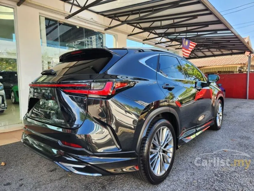 2023 Lexus NX 250 SUV