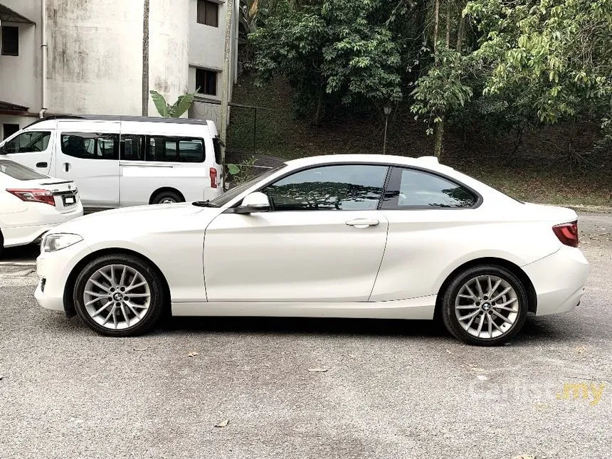 2014 BMW 220i Sport Line Coupe