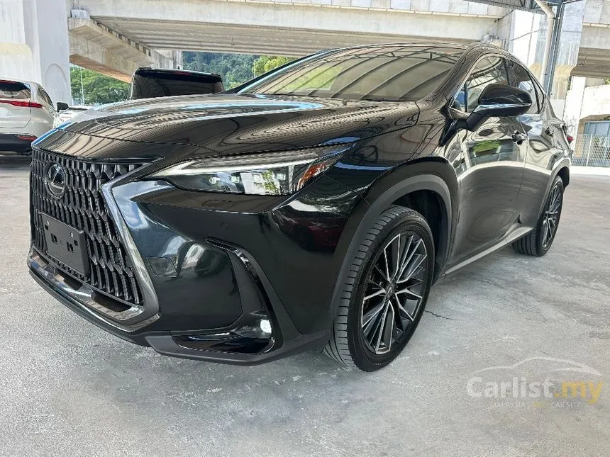 2022 Lexus NX 250 Luxury SUV