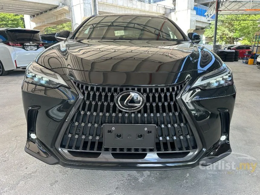 2022 Lexus NX 250 Luxury SUV