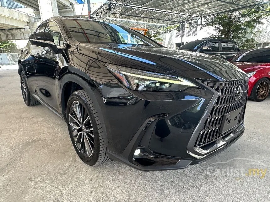 2022 Lexus NX 250 Luxury SUV