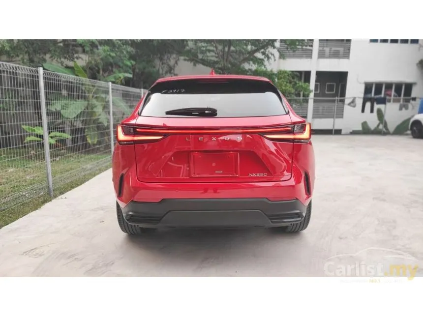 2023 Lexus NX 250 Luxury SUV