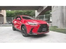 2023 Lexus NX 250 2.5 Luxury SUV