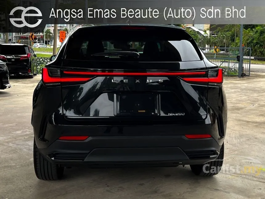 2022 Lexus NX250 Luxury SUV