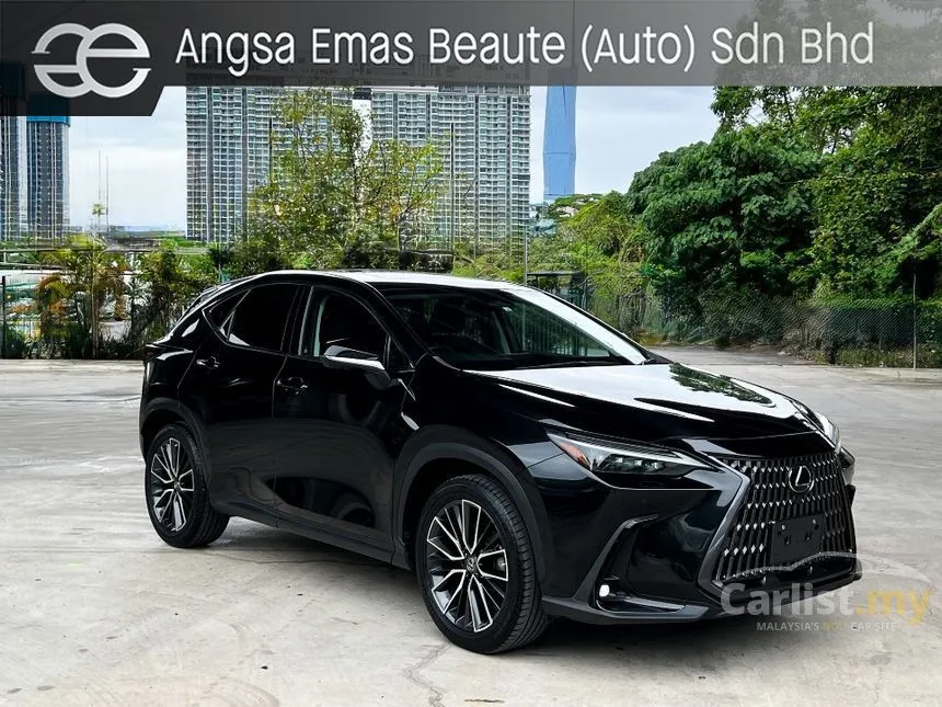 2022 Lexus NX250 Luxury SUV