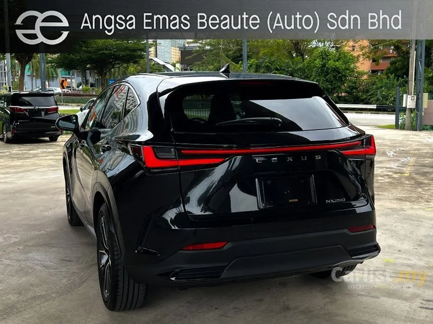 2022 Lexus NX250 Luxury SUV