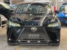 2022 Lexus NX 250 2.5 Luxury SUV