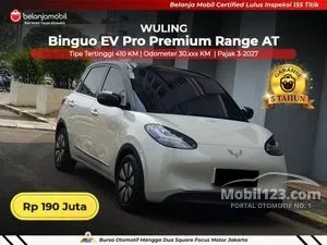 2024 Wuling Binguo EV 410 Premium Range AC/DC Hatchback