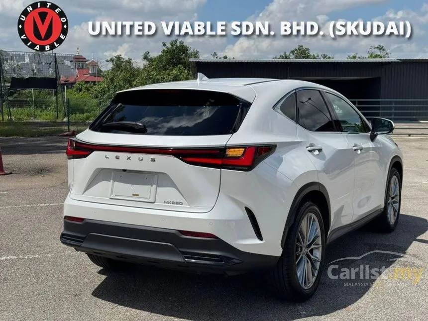 2023 Lexus NX 250 Luxury SUV