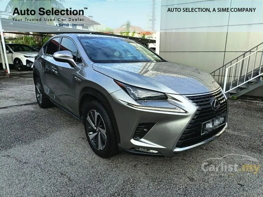 2018 Lexus NX 300 Premium SUV