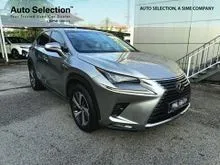 2018 Lexus NX 300 2.0 Premium SUV