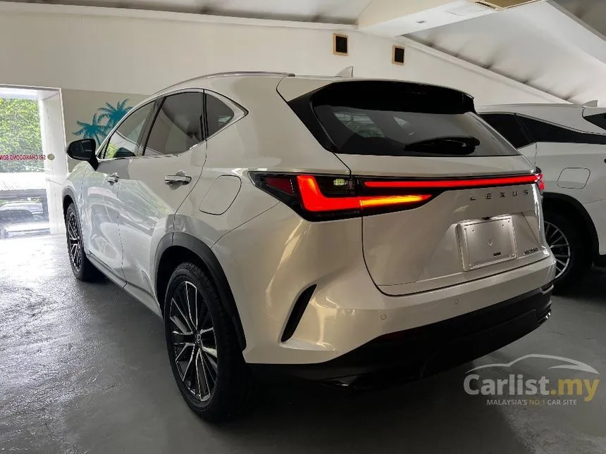 2023 Lexus NX 250 Luxury SUV