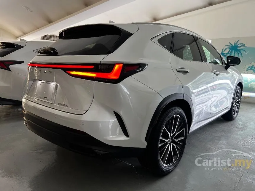 2023 Lexus NX 250 Luxury SUV