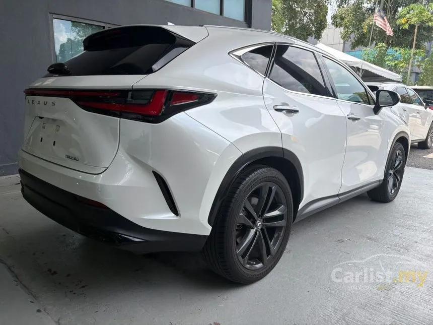 2023 Lexus NX 250 Luxury SUV