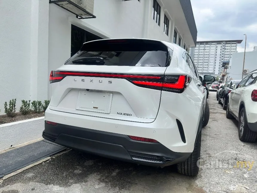 2023 Lexus NX 250 SUV