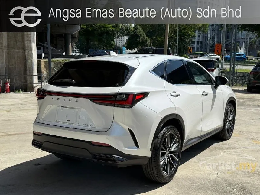 2023 Lexus NX250 Luxury SUV