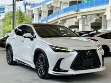 2023 Lexus NX 250 2.5 Luxury SUV