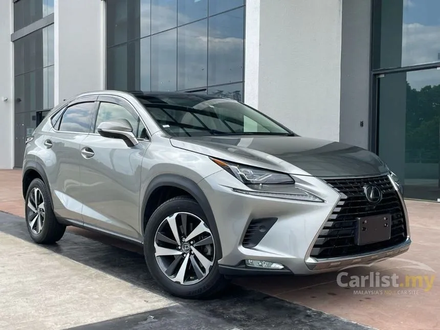 2019 Lexus NX300 I Package SUV