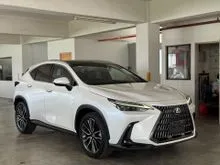 2023 Lexus NX 250 2.5 Luxury SUV