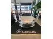 New 2024 Lexus RX350 2.4 Luxury SUV