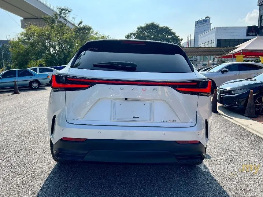 2023 Lexus NX 250 Luxury SUV